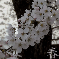 春の東京季語